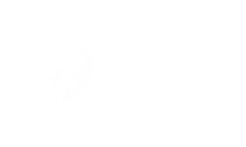 2-1.png