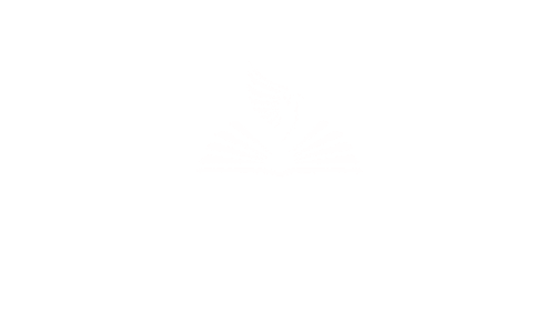 9.png